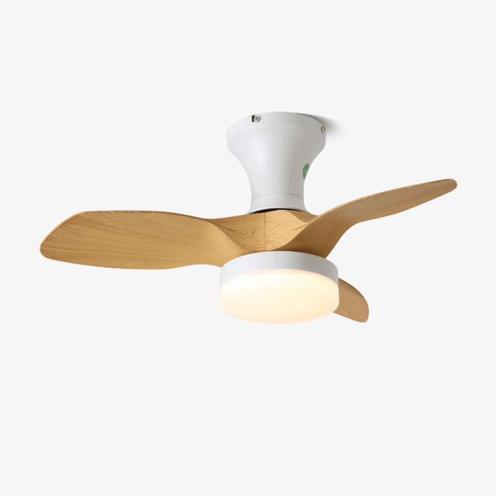 Brisa Takfläkt Lampa