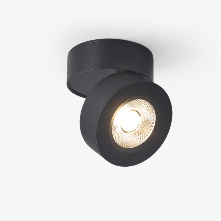 Rund Rotating LED Downlight
