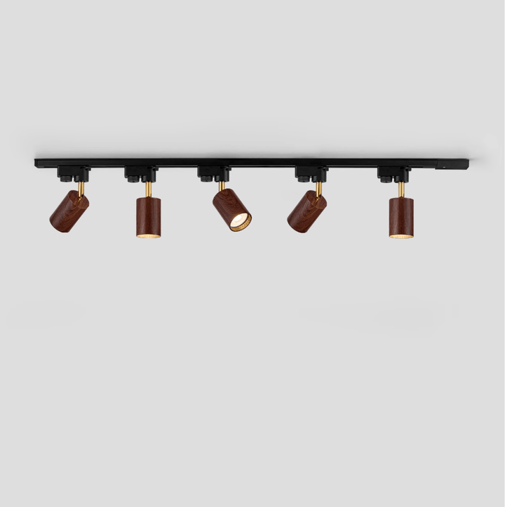 Auric Track Light
