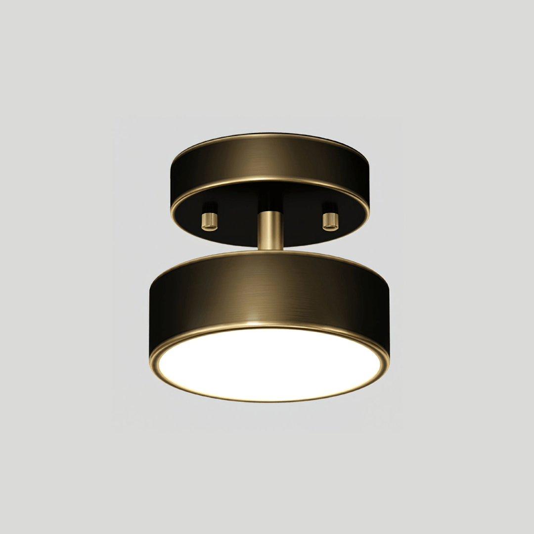 Meridian Rotatable LED Taklampa