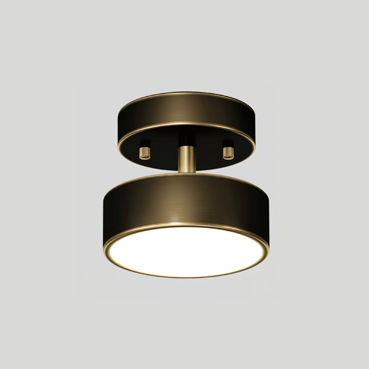 Meridian Rotatable LED Taklampa