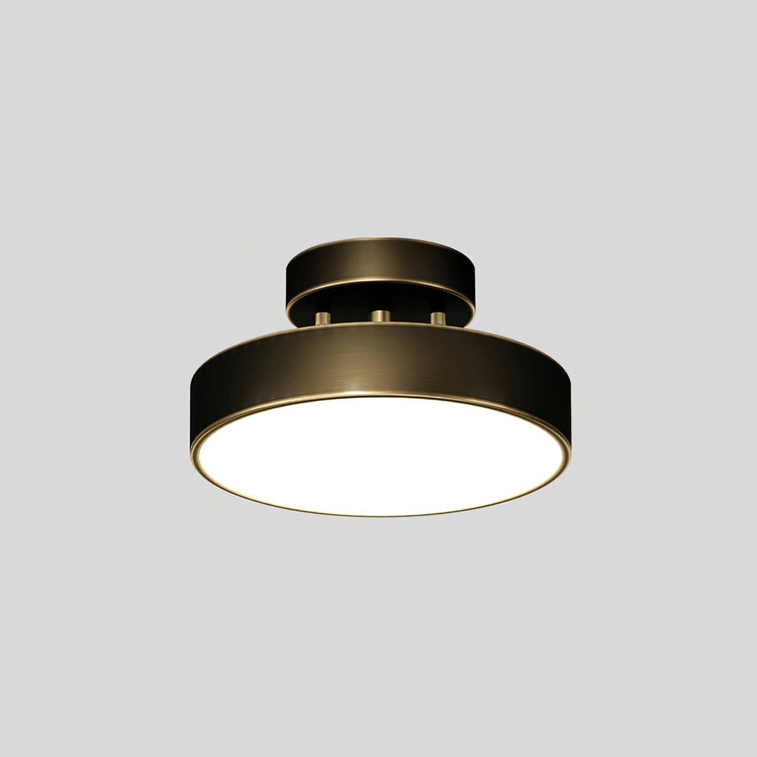 Meridian Rotatable LED Taklampa
