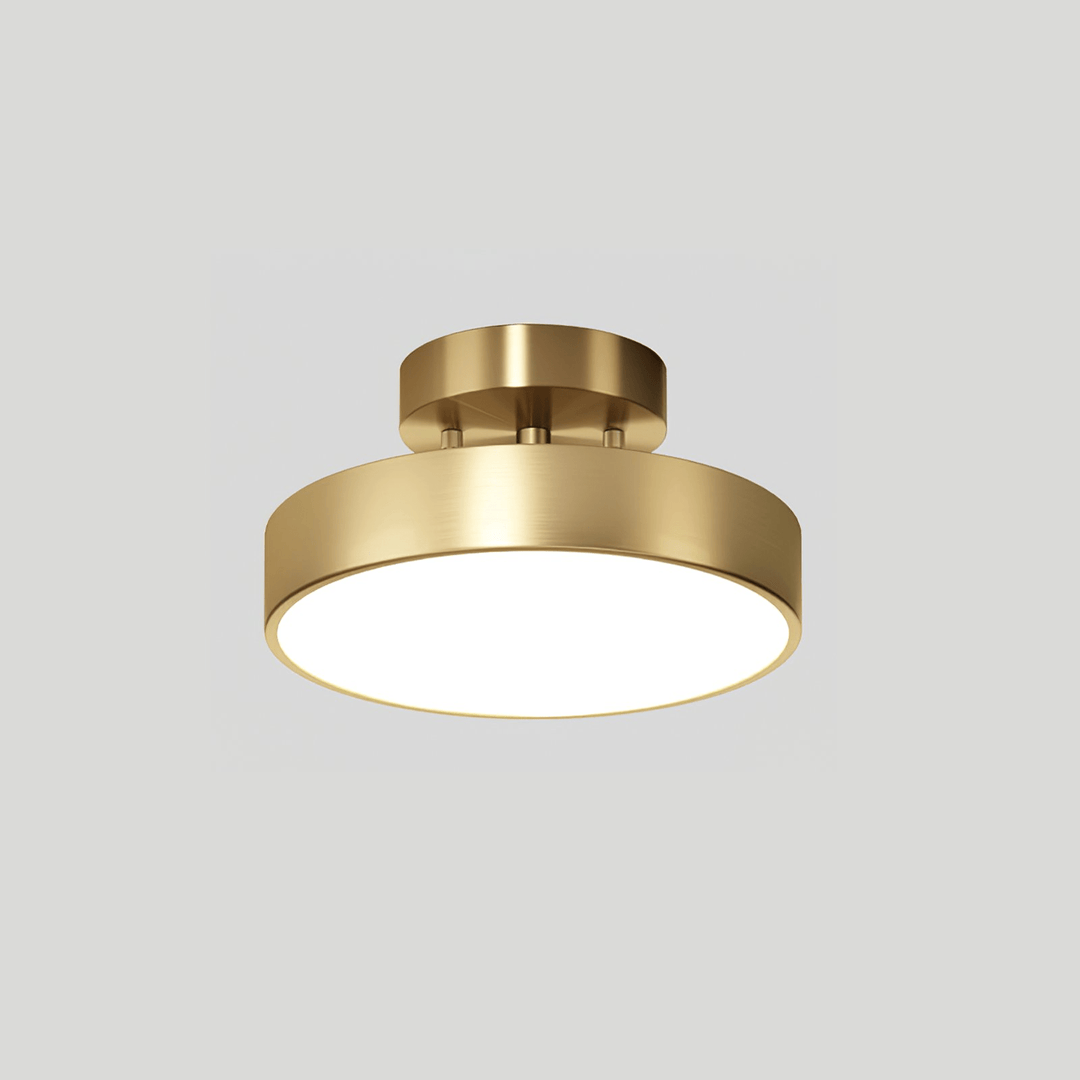 Meridian Rotatable LED Taklampa
