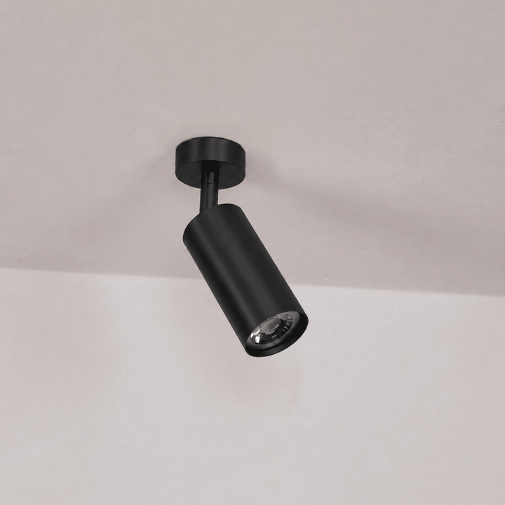 Roterbar Spotlight Vägglampa/Taklampa