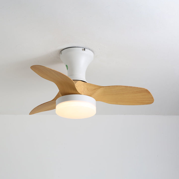Brisa Takfläkt Lampa