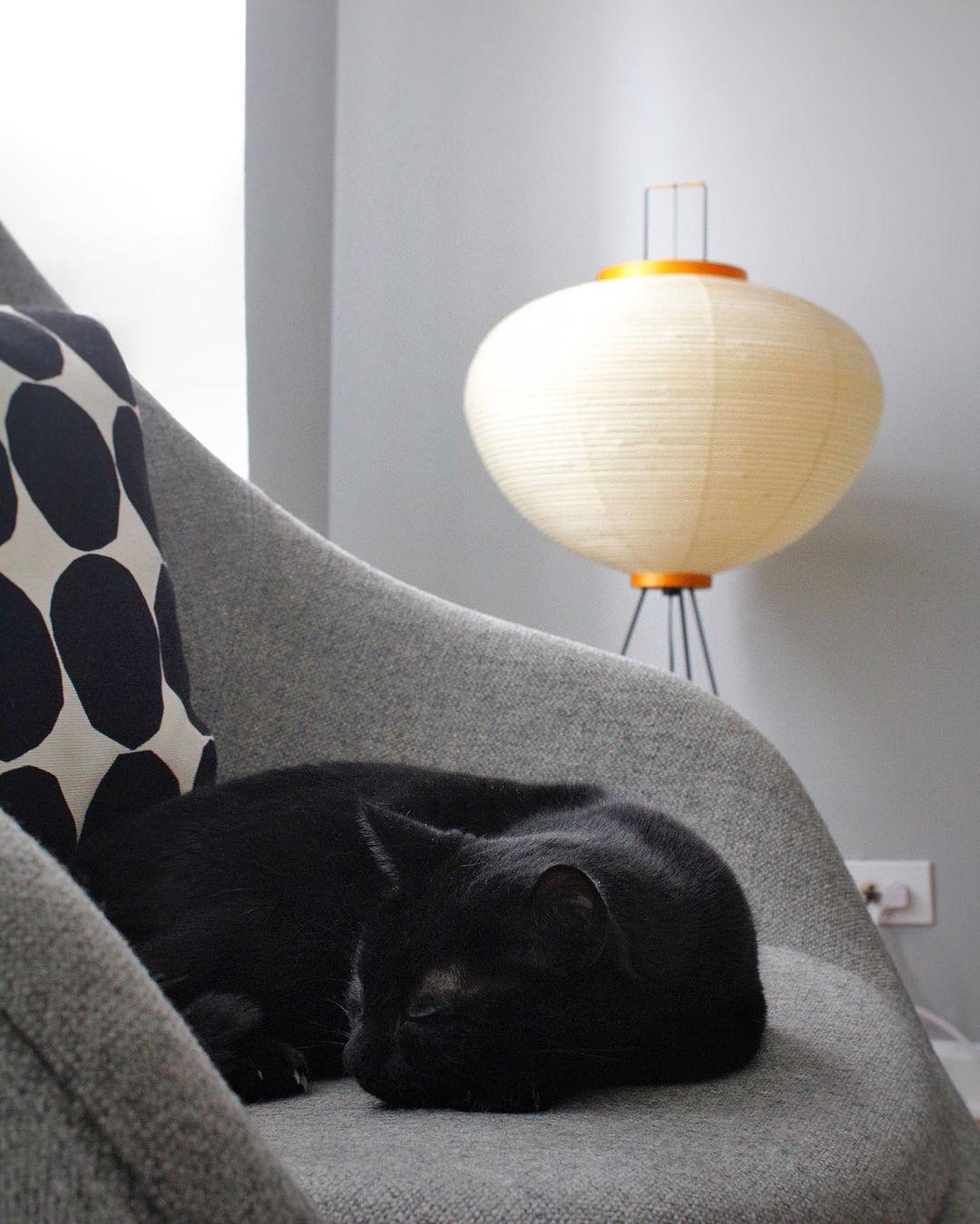 Rispapper Golvlampa