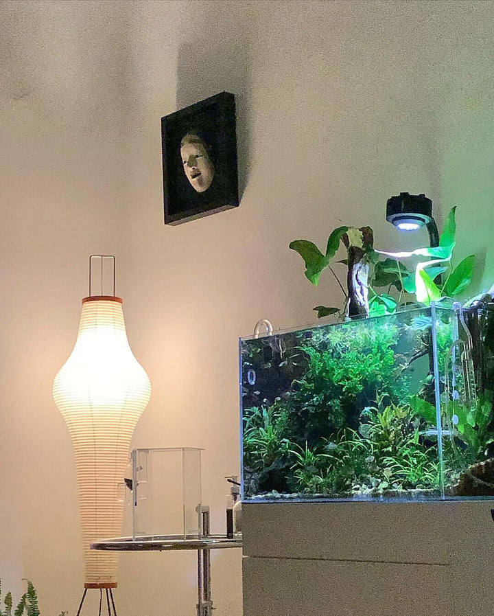 Rispapper Golvlampa