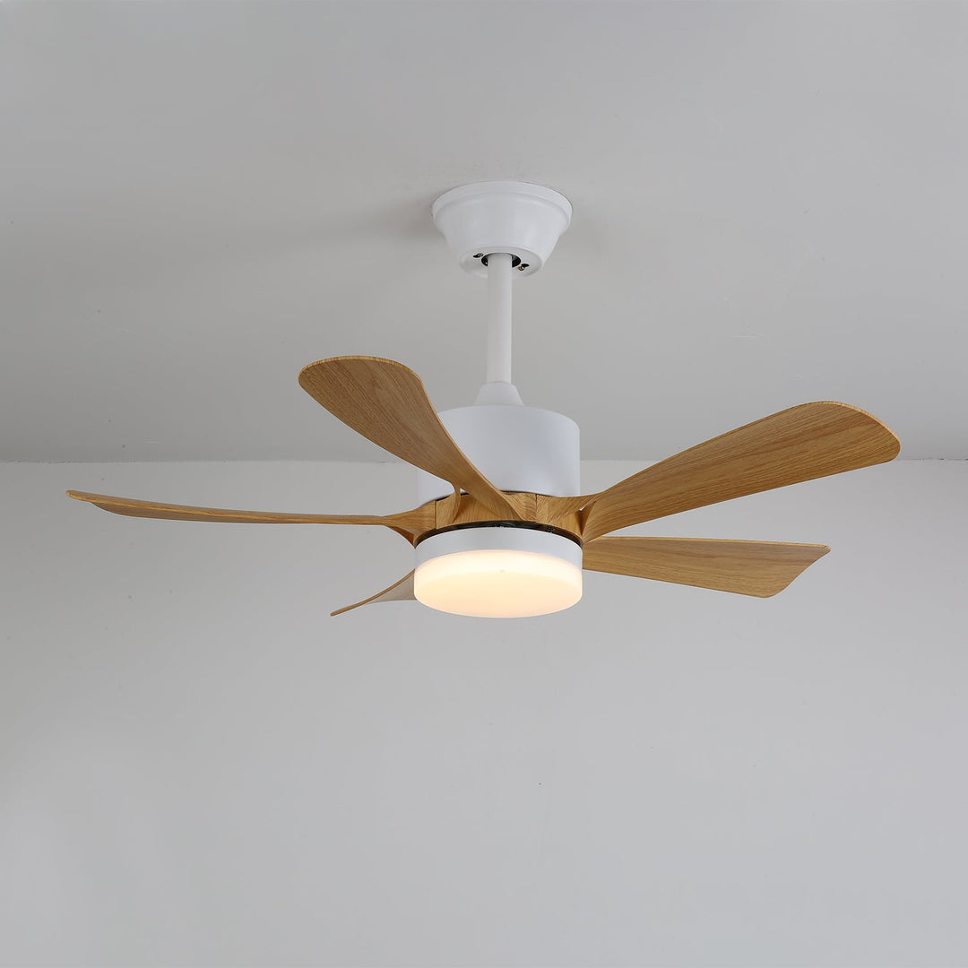 Avenli Takfläkt med Lampa