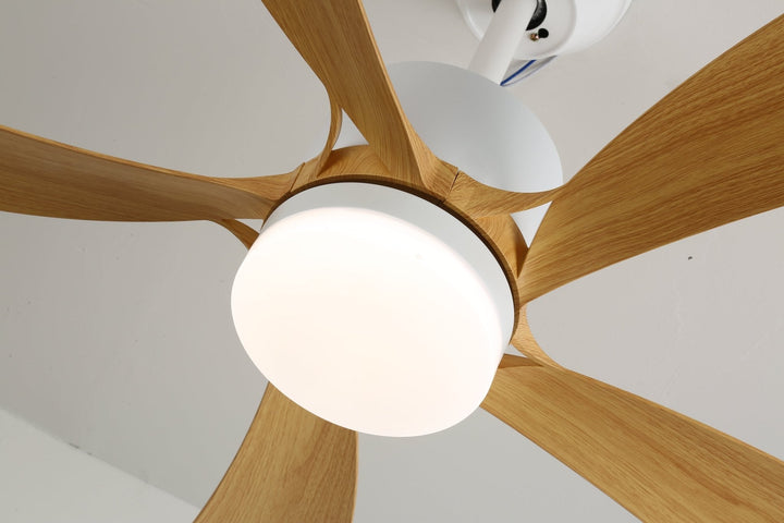 Avenli Takfläkt med Lampa