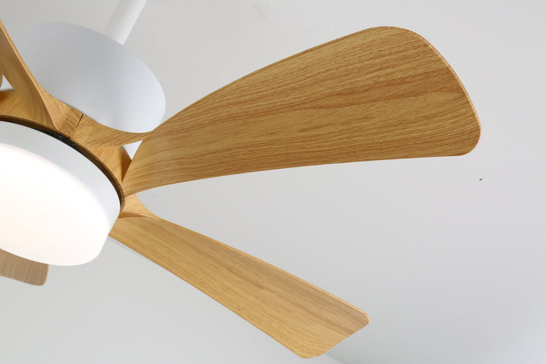 Avenli Takfläkt med Lampa