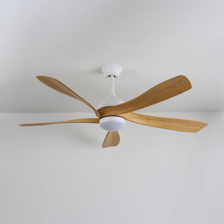 Avenli Takfläkt med Lampa