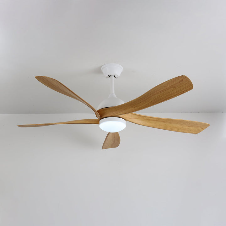 Avenli Takfläkt med Lampa