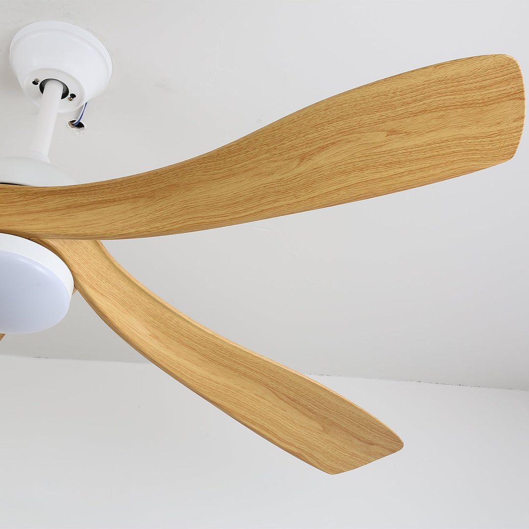 Avenli Takfläkt med Lampa