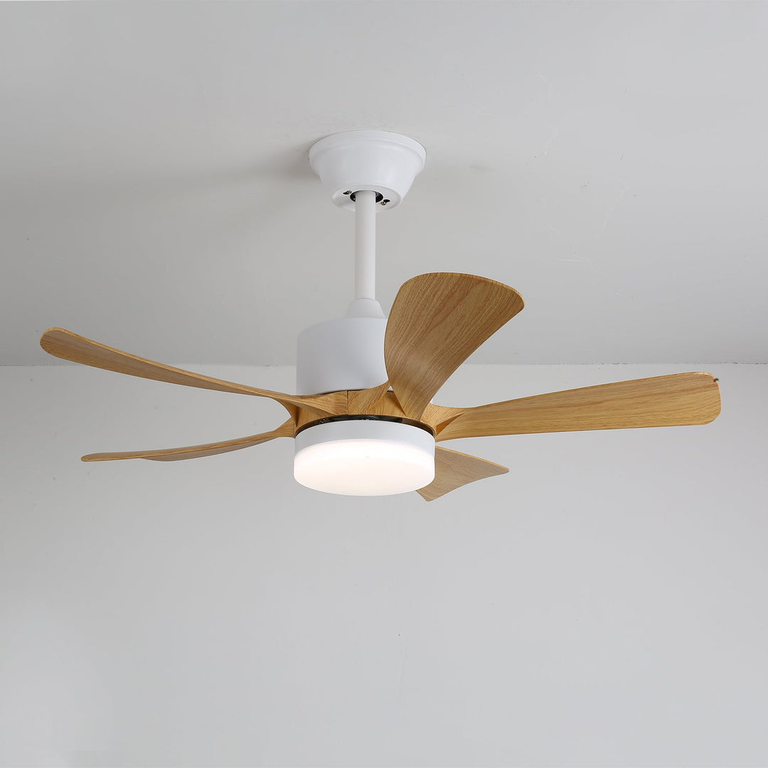 Avenli Takfläkt med Lampa