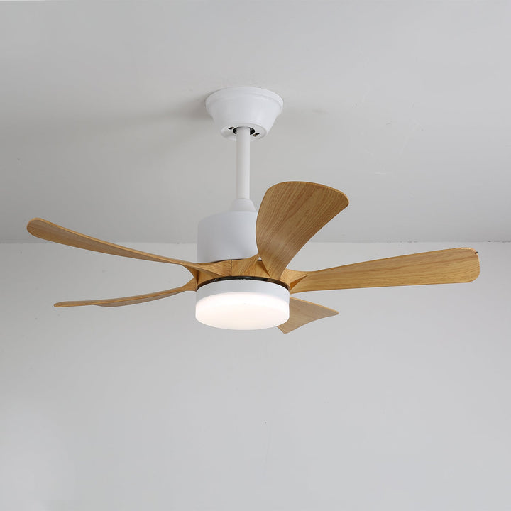 Avenli Takfläkt med Lampa