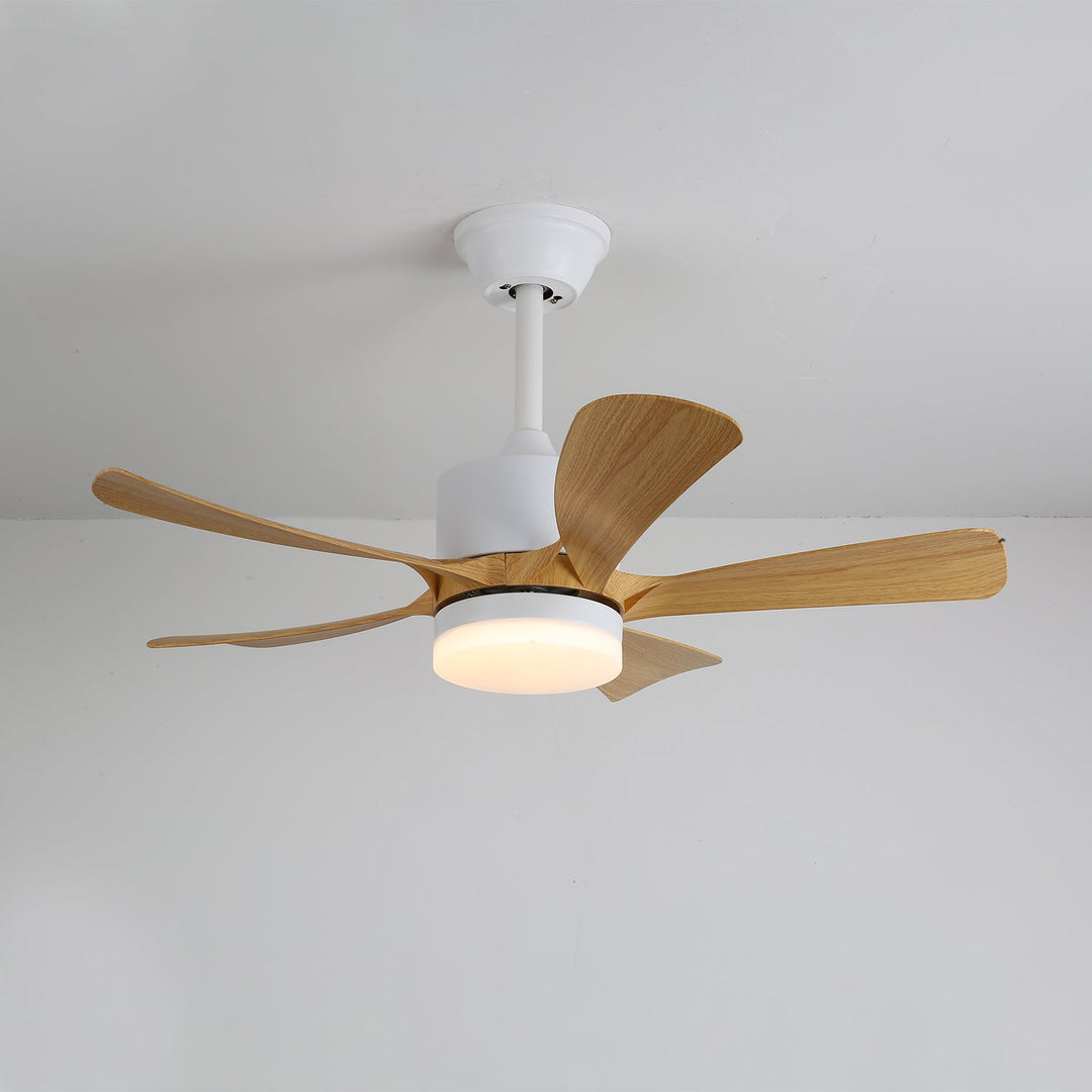 Avenli Takfläkt med Lampa