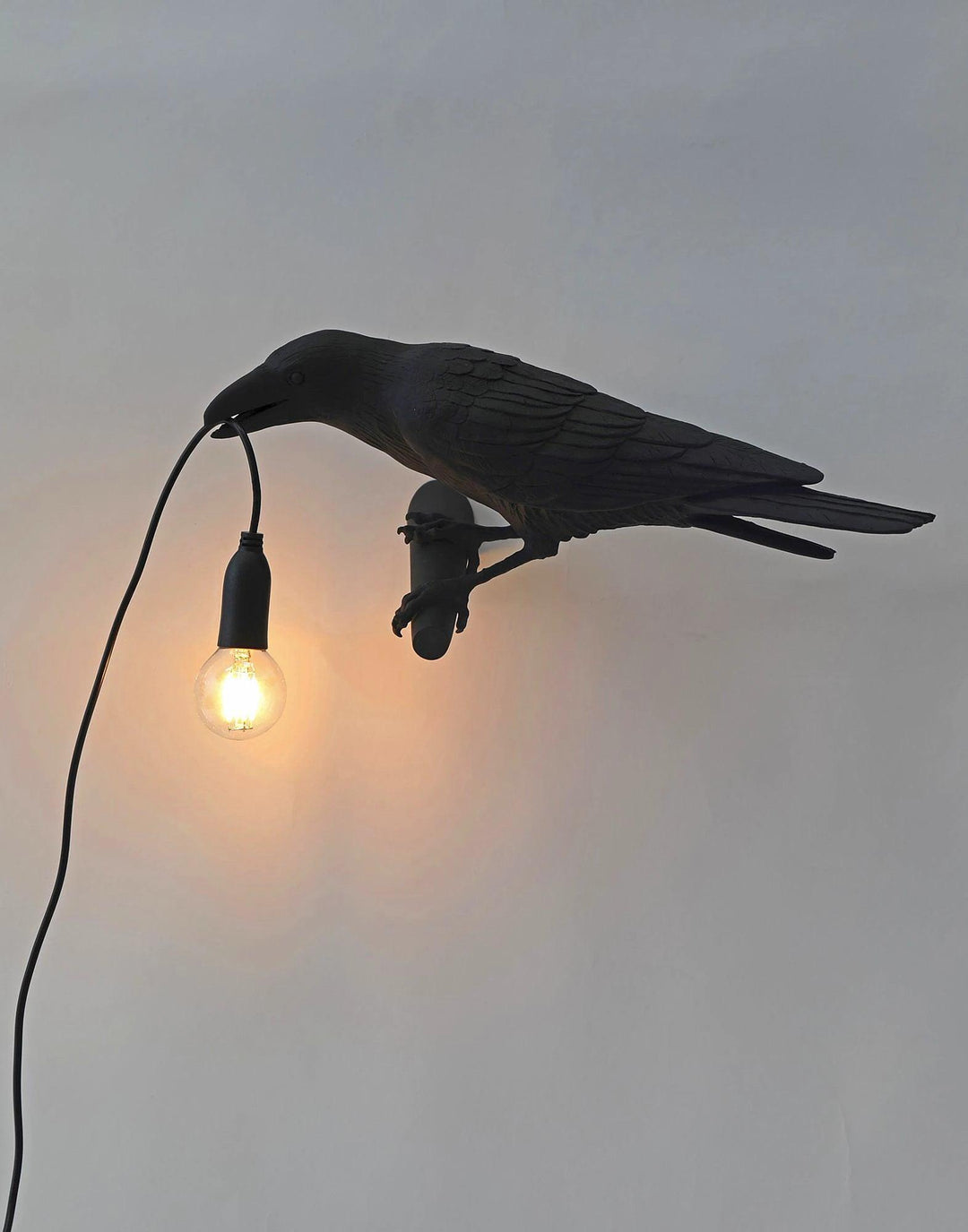 Fågel Vägglampa
