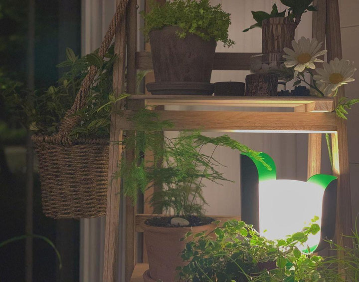 Petalformad Glasbordslampa