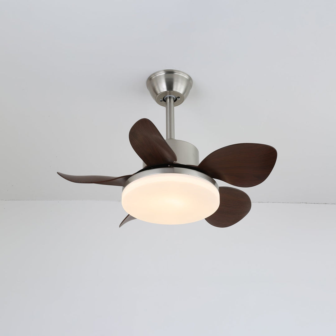 Terra Valnöt Takfläkt Lampa