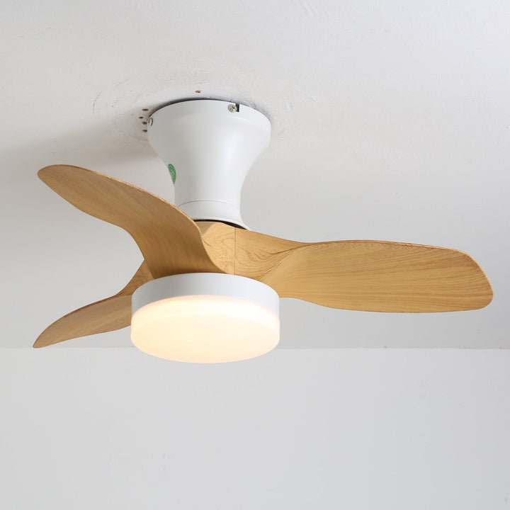 Brisa Takfläkt Lampa