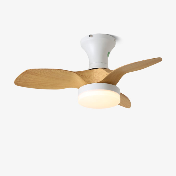 Brisa Takfläkt Lampa