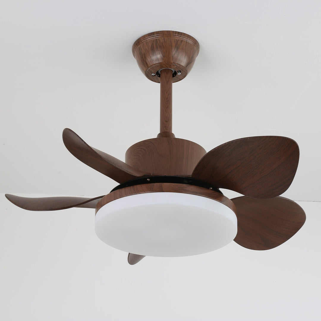 Terra Valnöt Takfläkt Lampa