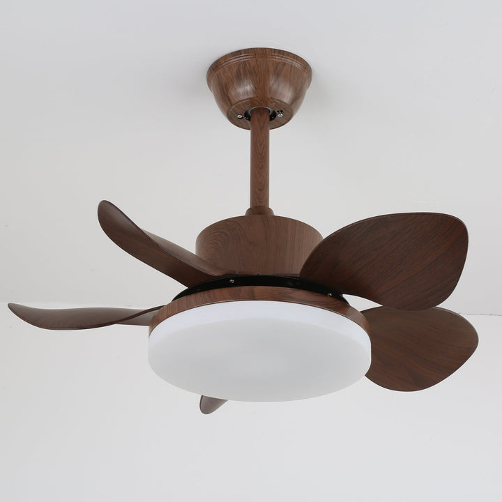 Terra Valnöt Takfläkt Lampa