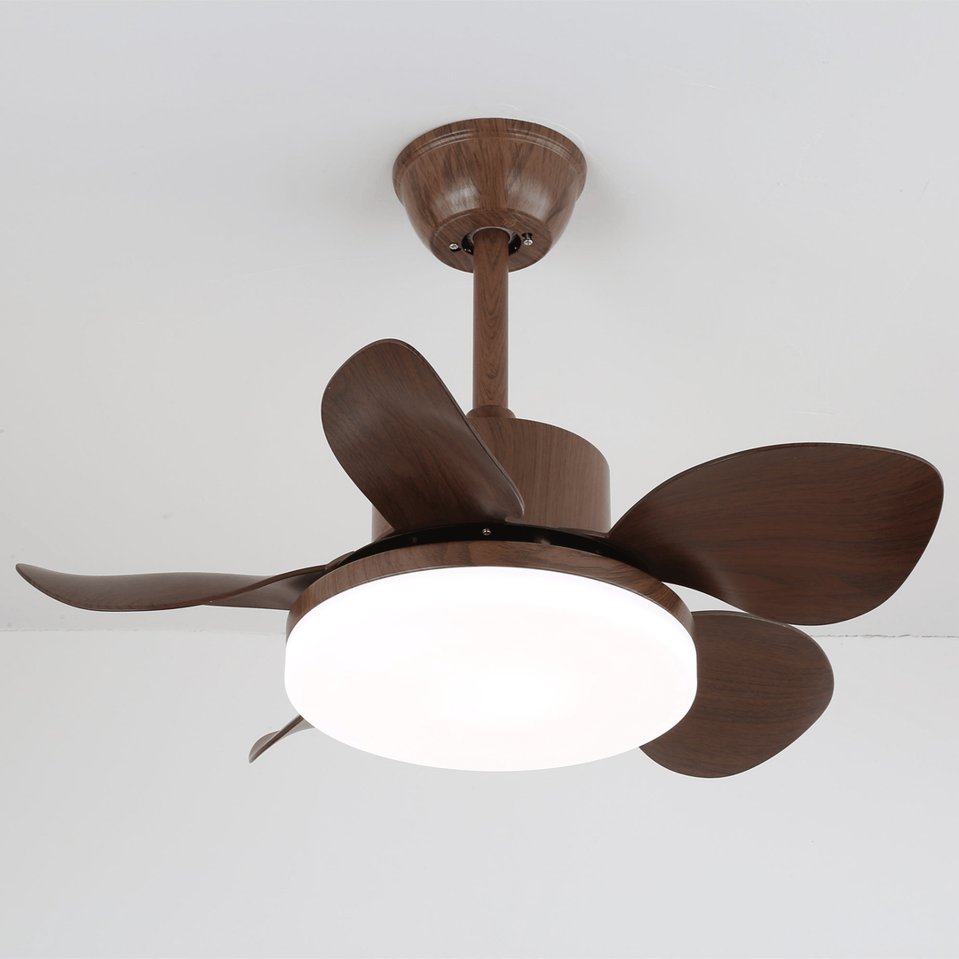 Terra Valnöt Takfläkt Lampa