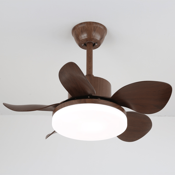 Terra Valnöt Takfläkt Lampa