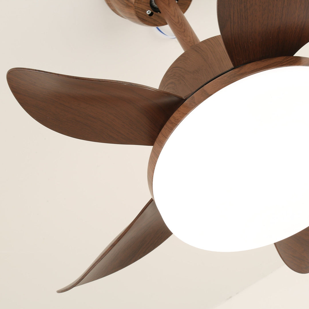 Terra Valnöt Takfläkt Lampa