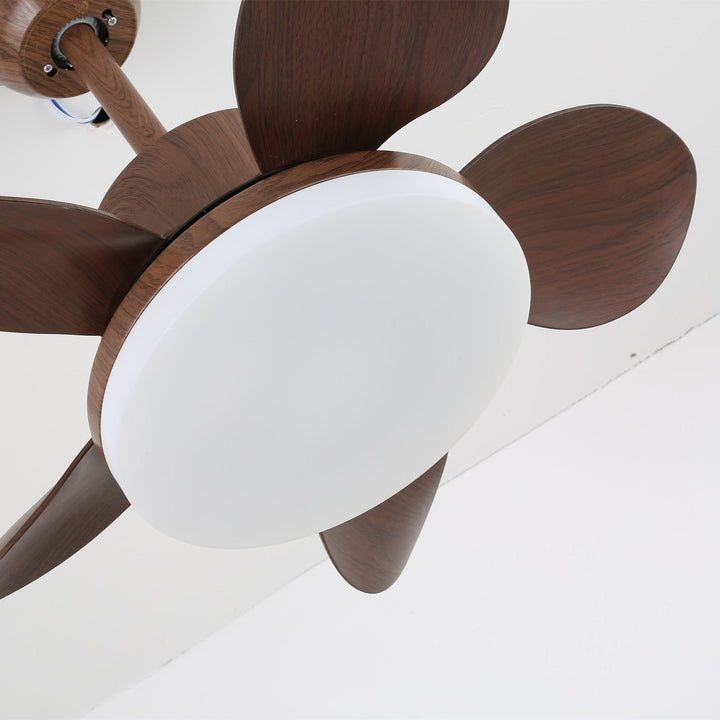 Terra Valnöt Takfläkt Lampa