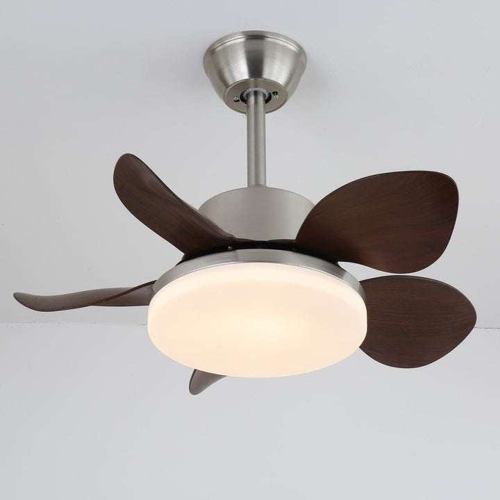 Terra Valnöt Takfläkt Lampa