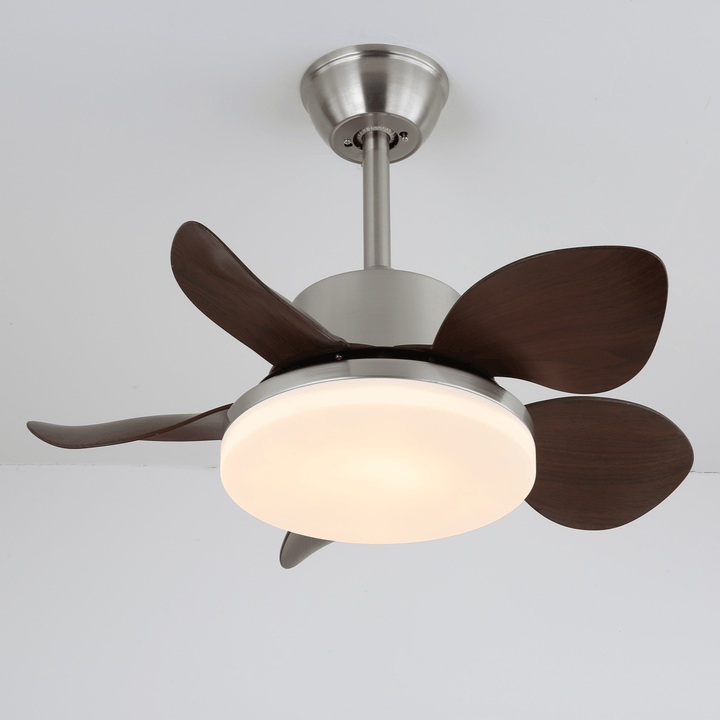 Terra Valnöt Takfläkt Lampa