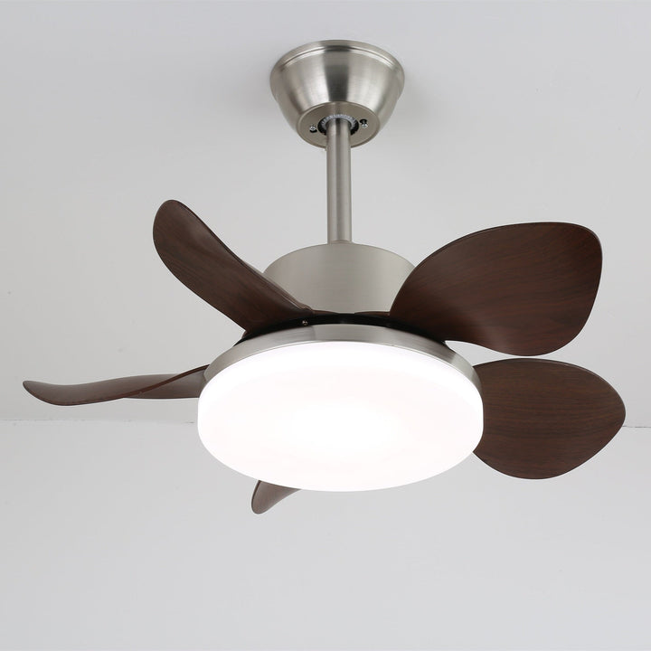 Terra Valnöt Takfläkt Lampa