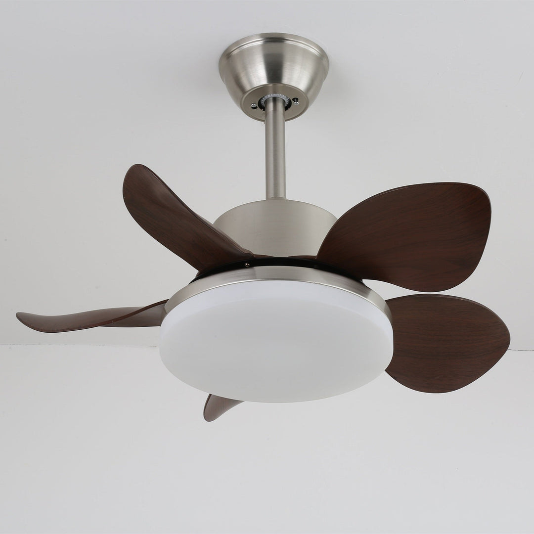 Terra Valnöt Takfläkt Lampa