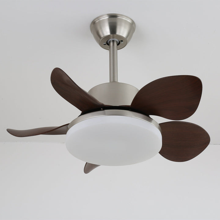 Terra Valnöt Takfläkt Lampa