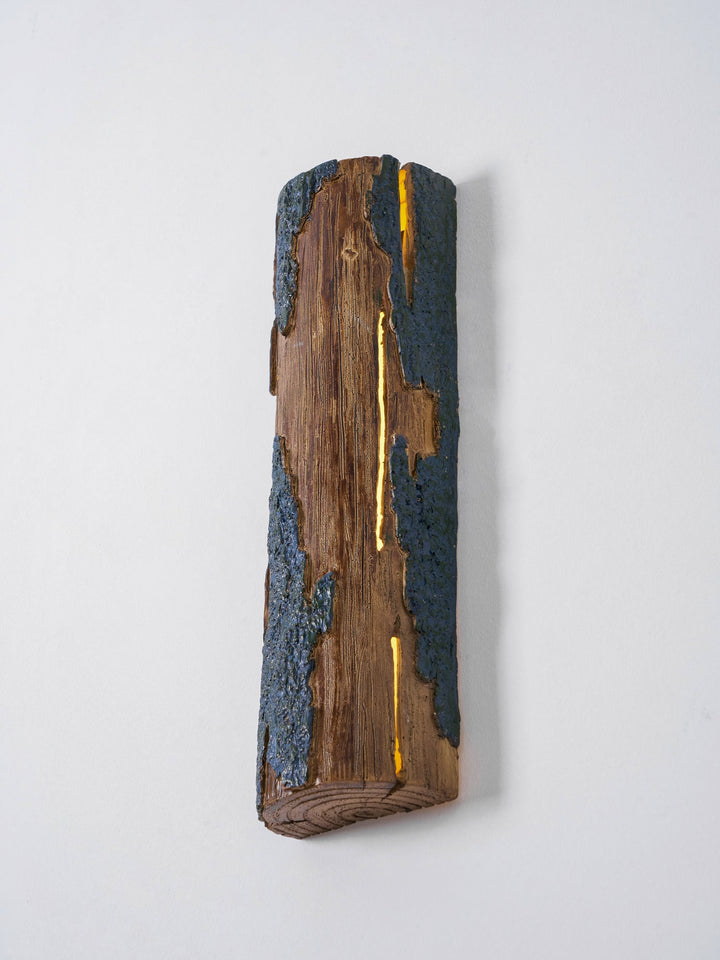 Trasig Bark Vägglampa