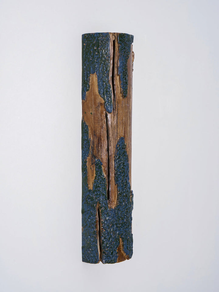 Trasig Bark Vägglampa