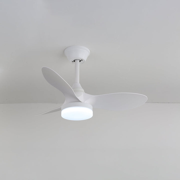 Callum Takfläktlampa
