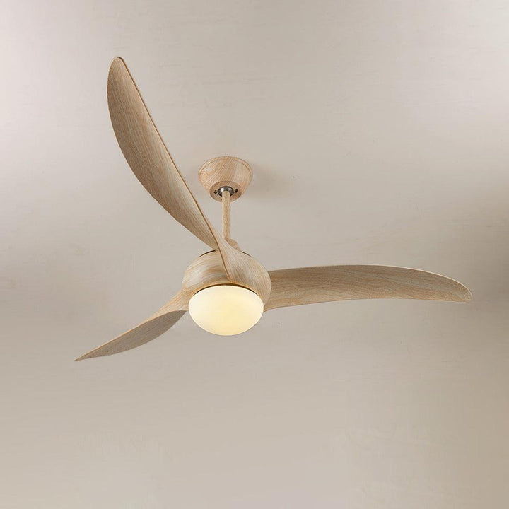 Traditionell Takfläkt med Lampa