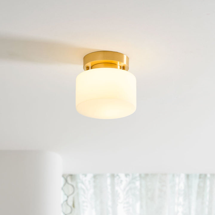 Clinio Flush Mount Ceiling Light