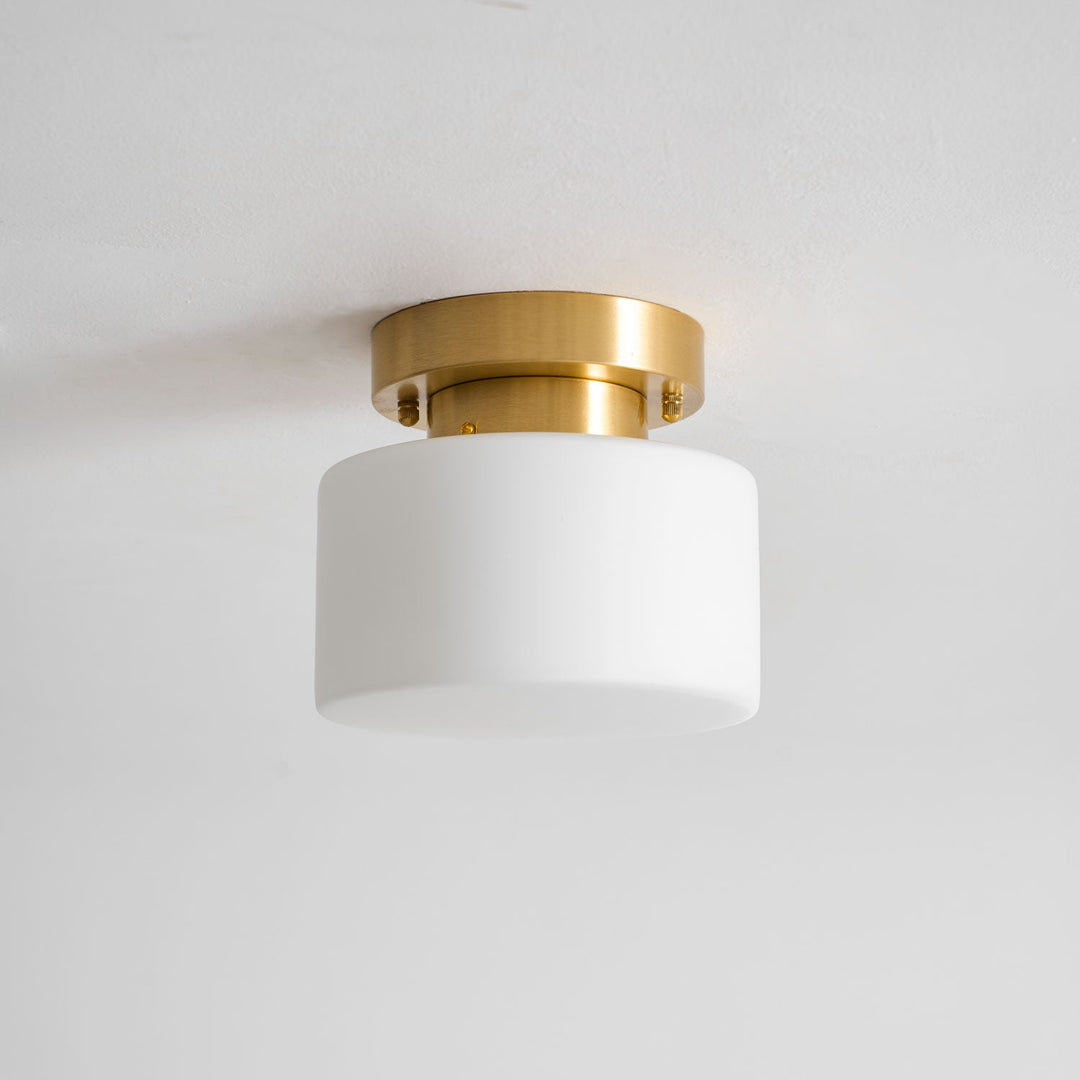 Clinio Flush Mount Ceiling Light