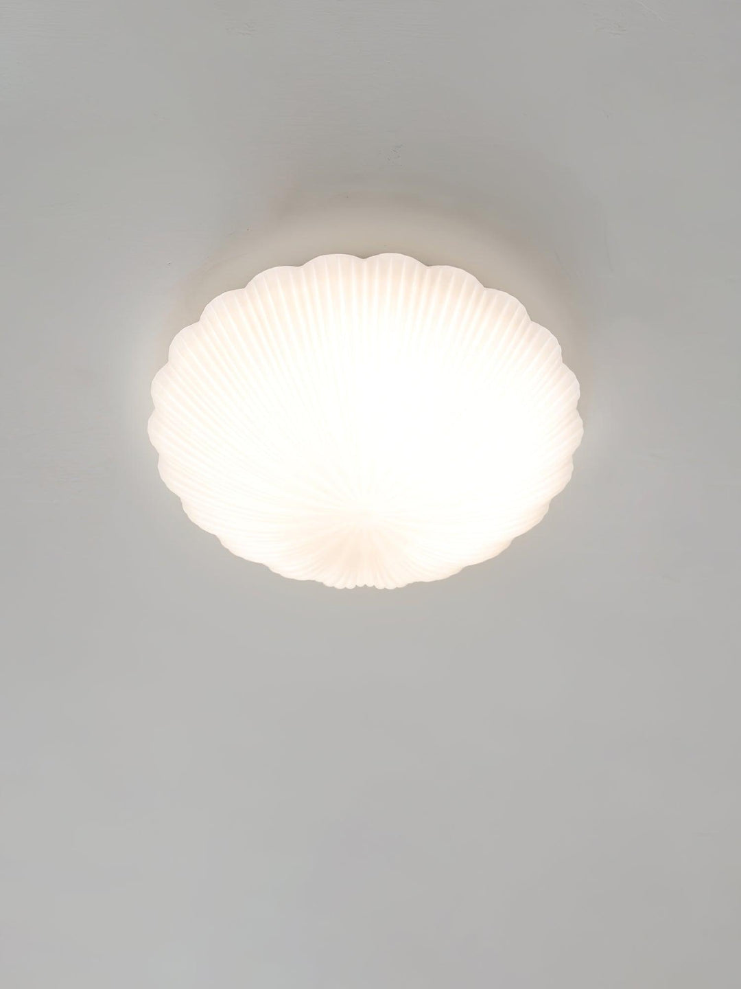 Devan Snäcka Taklampa