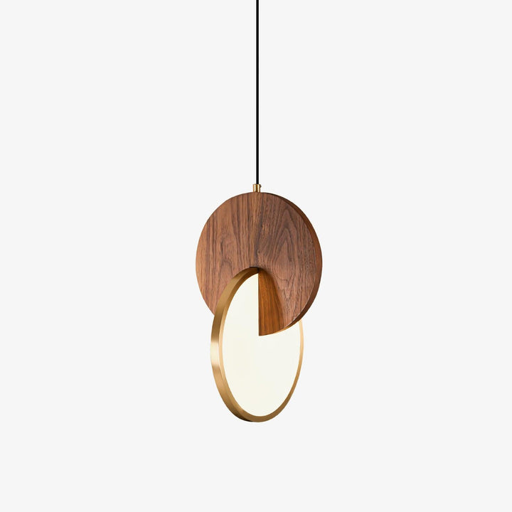 Dubbel Disk Pendellampa