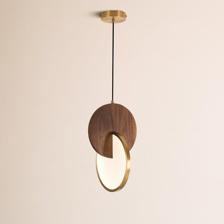 Dubbel Disk Pendellampa