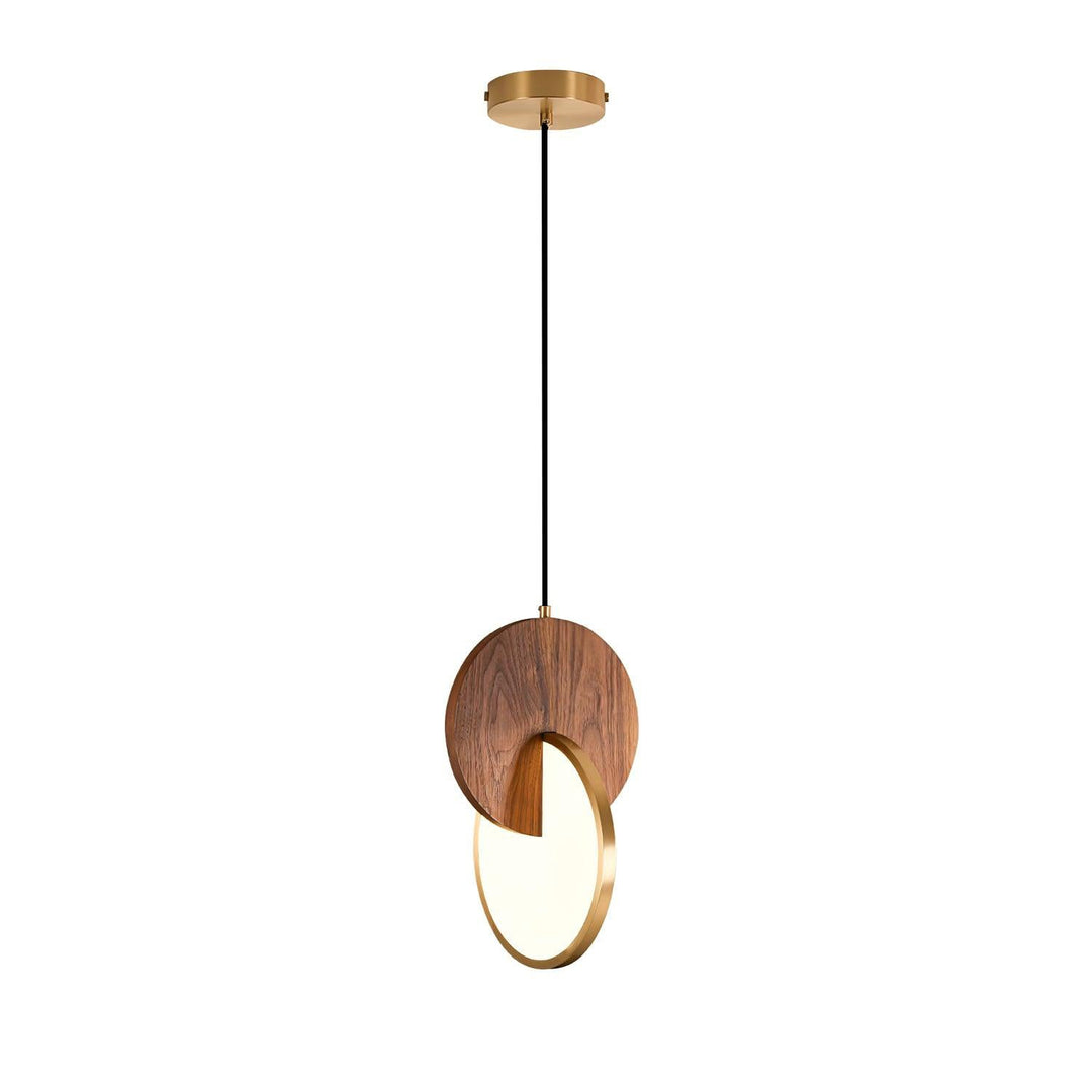 Dubbel Disk Pendellampa