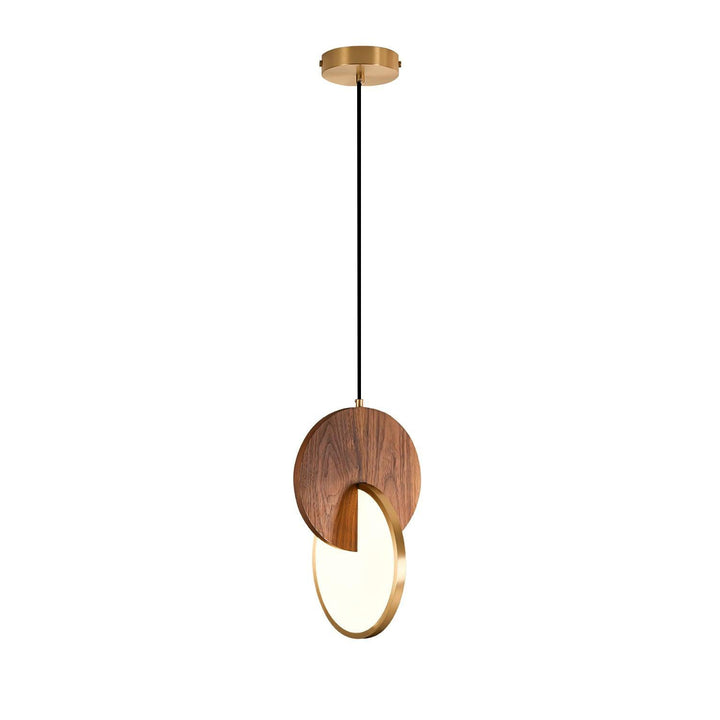 Dubbel Disk Pendellampa
