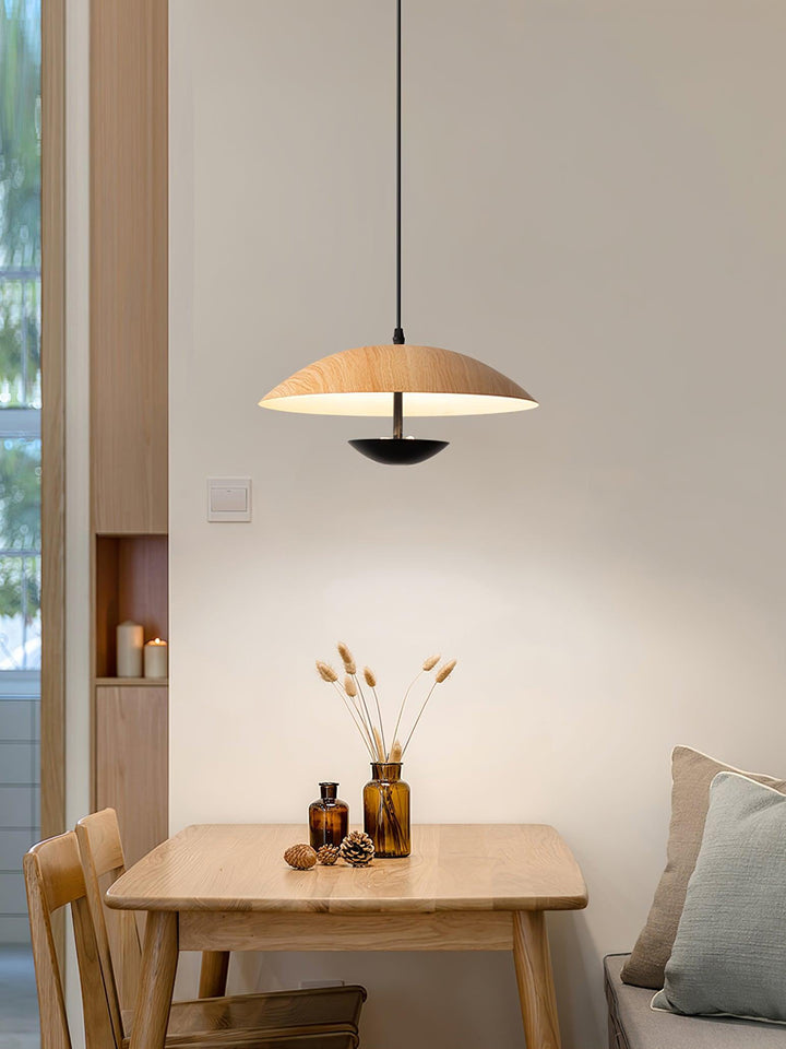 Frisbee Hängande Lampa