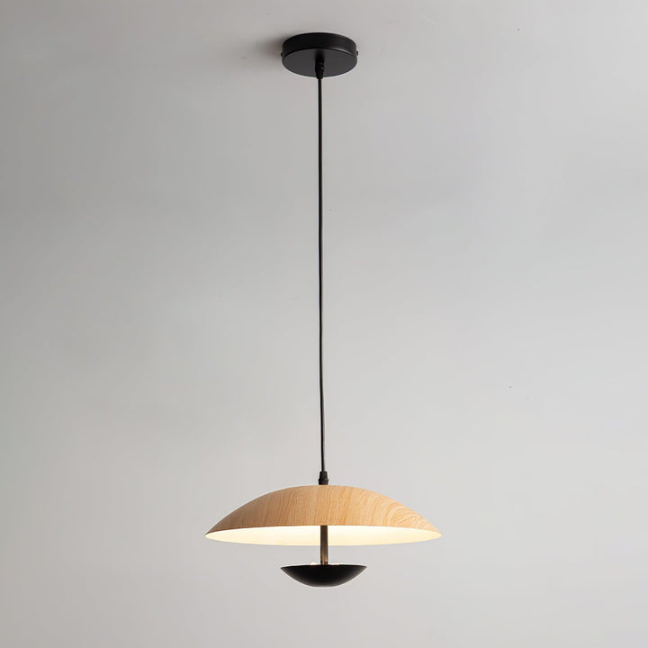 Frisbee Hängande Lampa