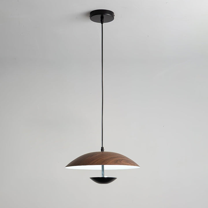 Frisbee Hängande Lampa